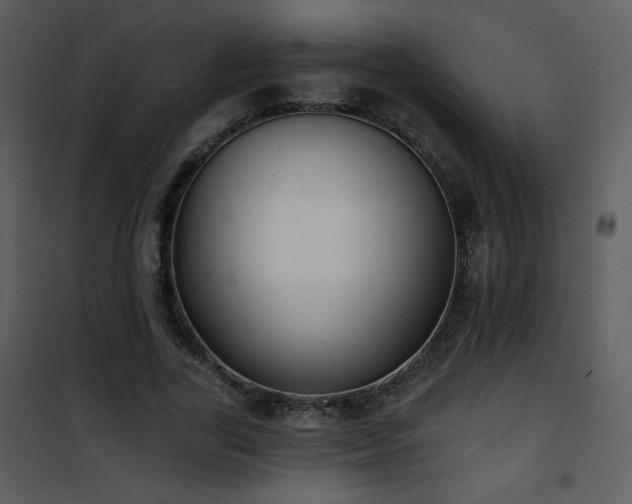 X0000102000731200807181204