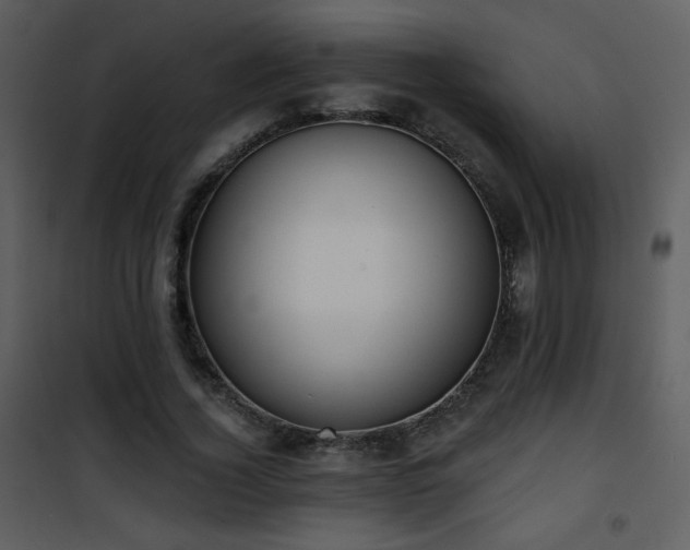 X0000102000732200807181204