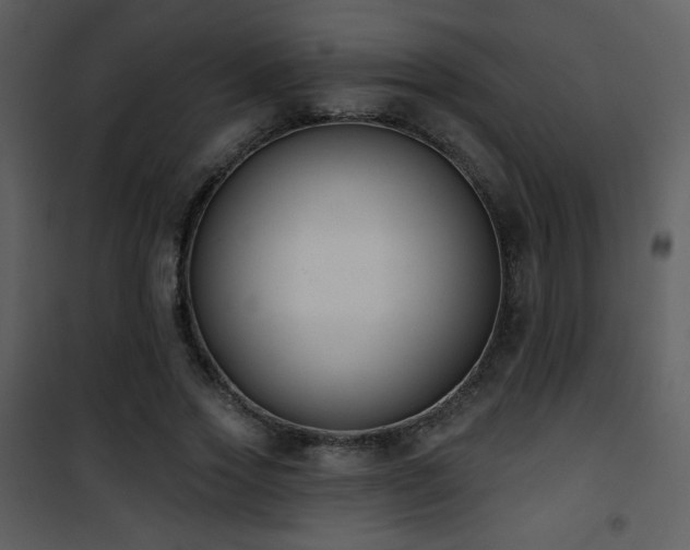 X0000102000733200807181204