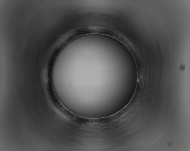 X0000102000734200807181204