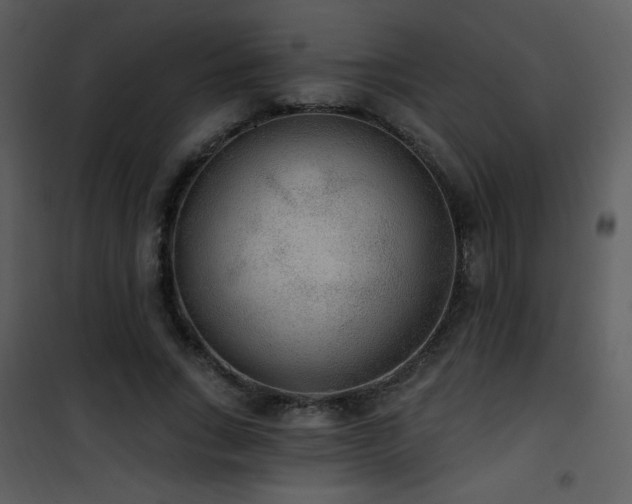 X0000102000735200807181204