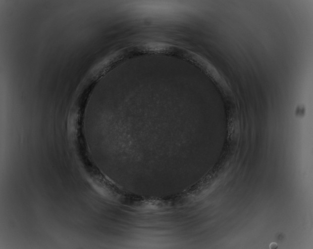 X0000102000736200807181204