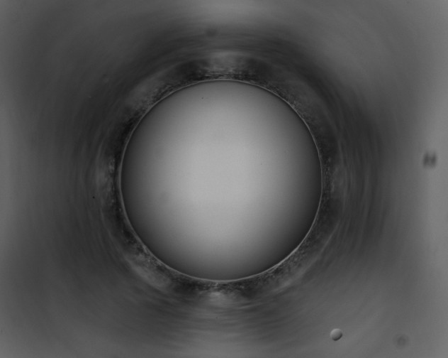 X0000102000737200807181204