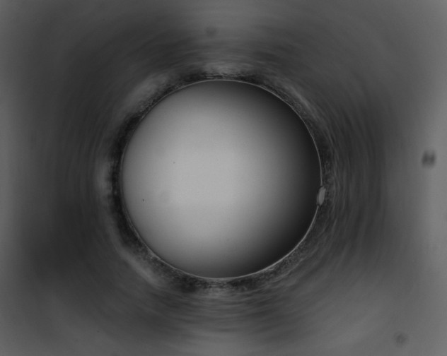 X0000102000738200807181204