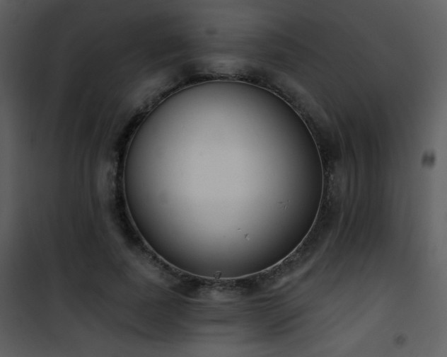 X0000102000739200807181204