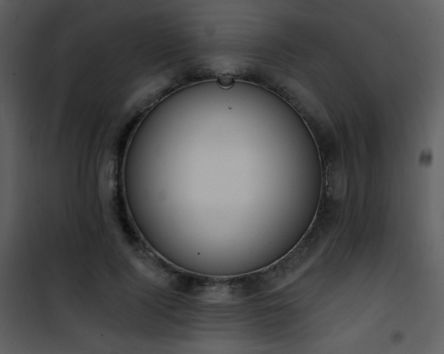 X0000102000740200807181204