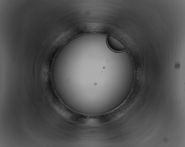 X0000102000741200807181204