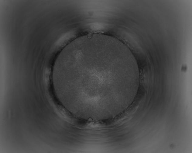 X0000102000742200807181204