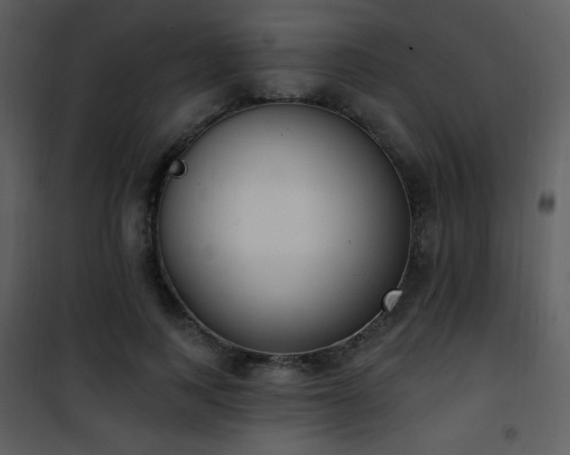 X0000102000743200807181204