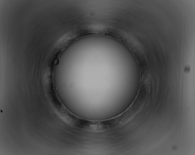 X0000102000744200807181204