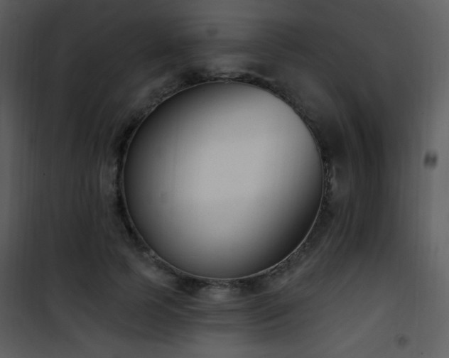 X0000102000745200807181204