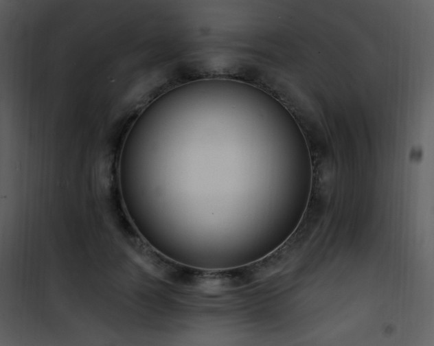 X0000102000746200807181204