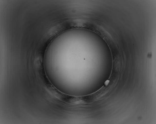 X0000102000747200807181204