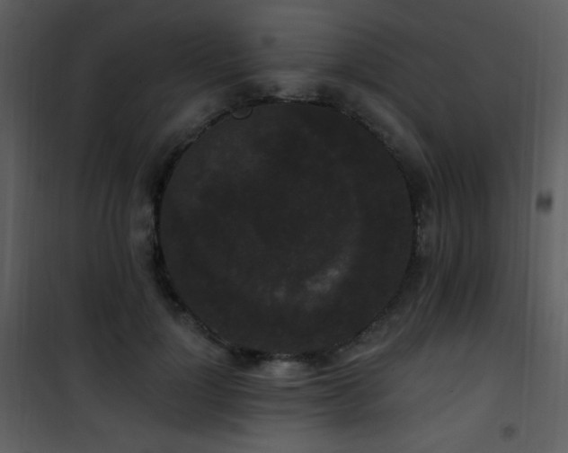 X0000102000748200807181204