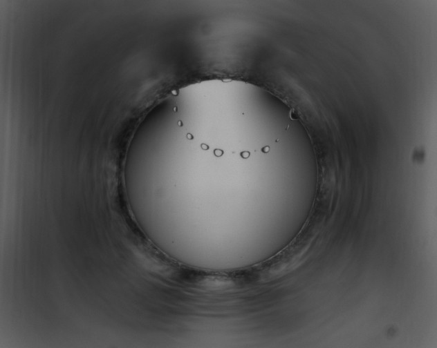 X0000102000749200807181204