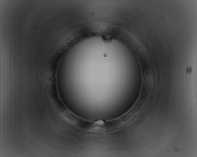 X0000102000750200807181204