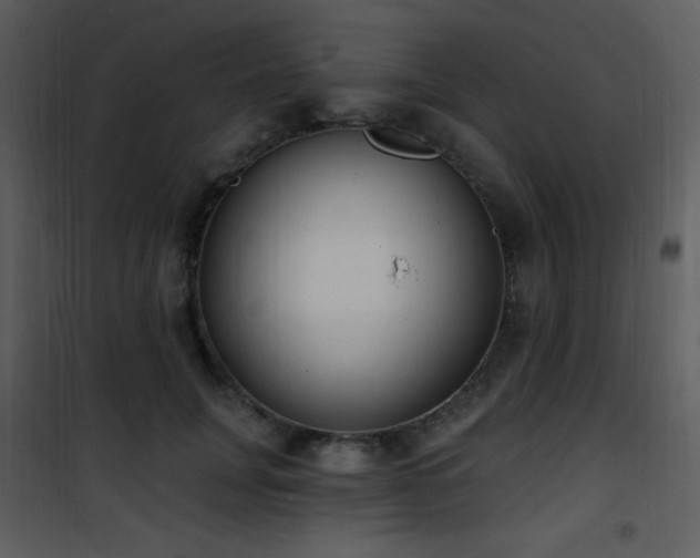 X0000102000751200807181204