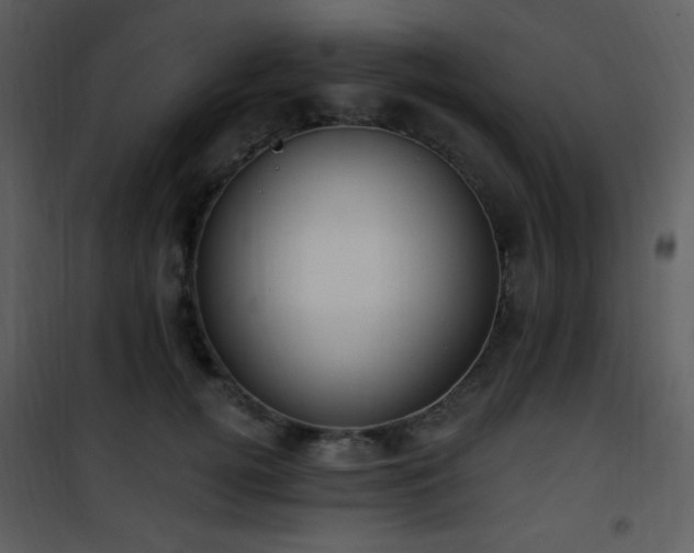 X0000102000752200807181204