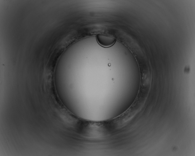 X0000102000753200807181204