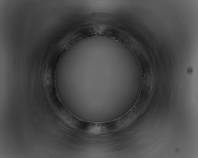 X0000102000754200807181205