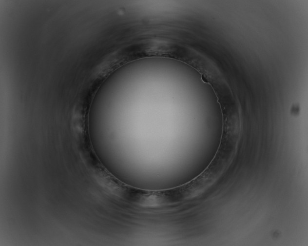 X0000102000755200807181205