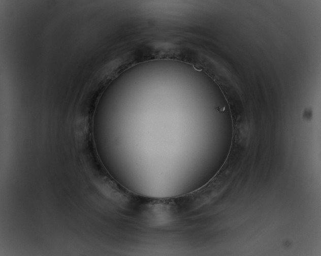 X0000102000756200807181205