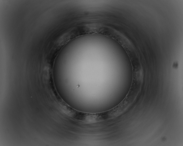 X0000102000757200807181205