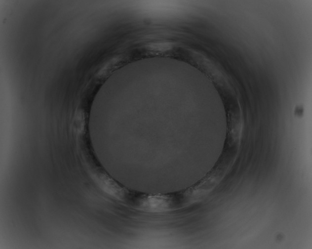 X0000102000758200807181205