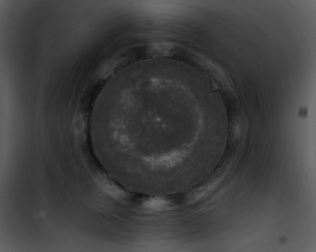 X0000102000759200807181205