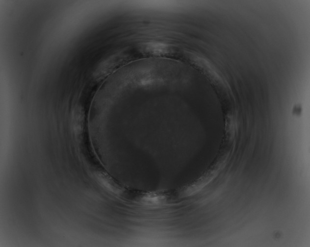 X0000102000760200807181205