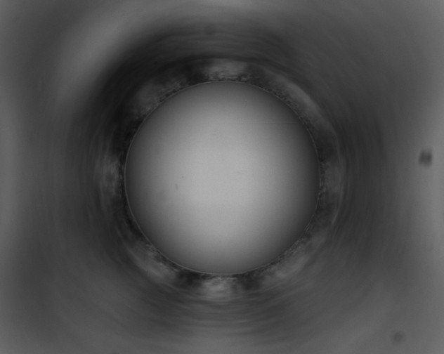 X0000102000761200807181205