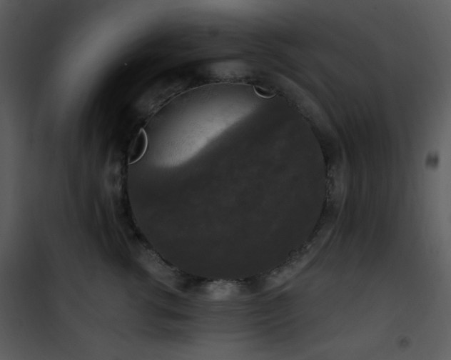 X0000102000762200807181205