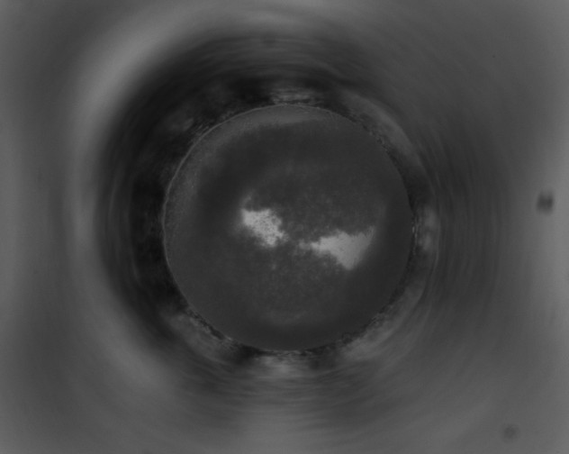 X0000102000763200807181205