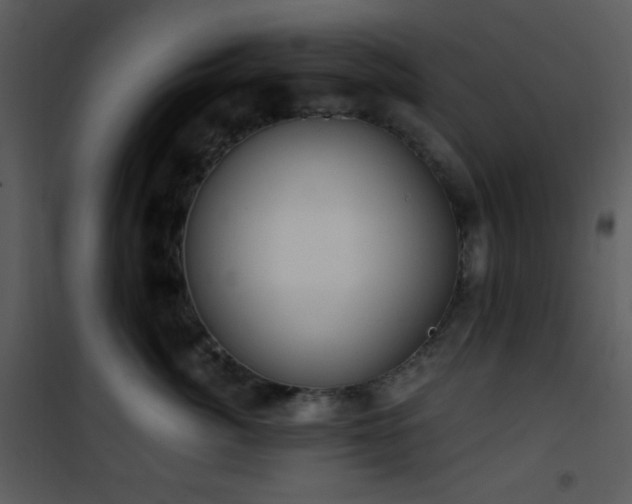 X0000102000764200807181205