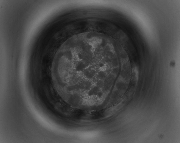 X0000102000765200807181205