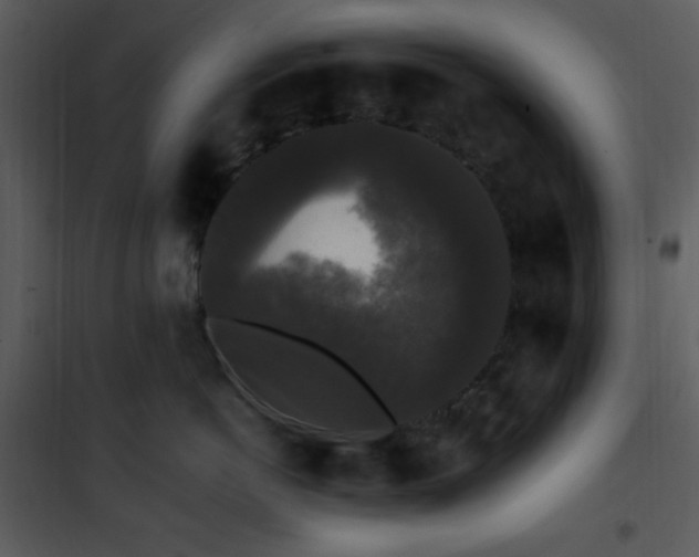 X0000102000766200807181205