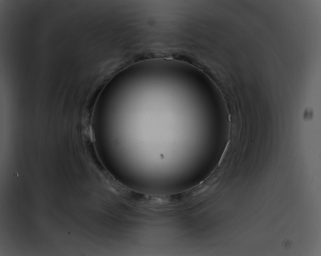 X0000102000768200807181205