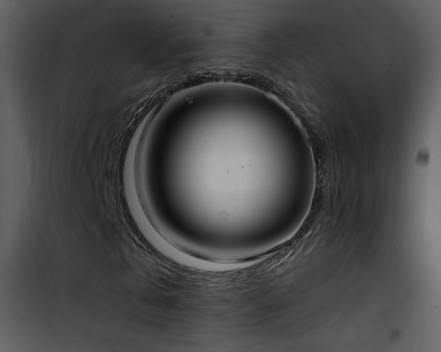 X0000102000769200807181204