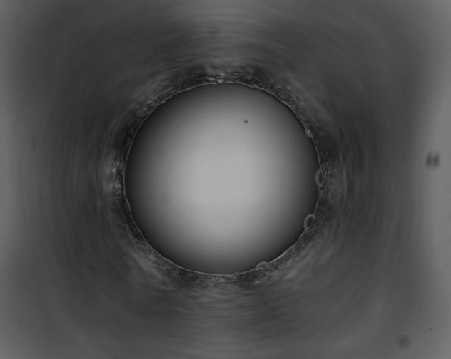 X0000102000770200807181204