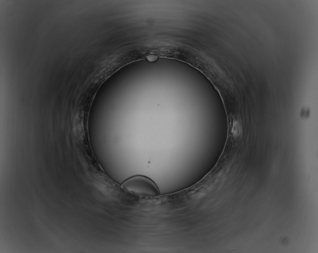 X0000102000771200807181204