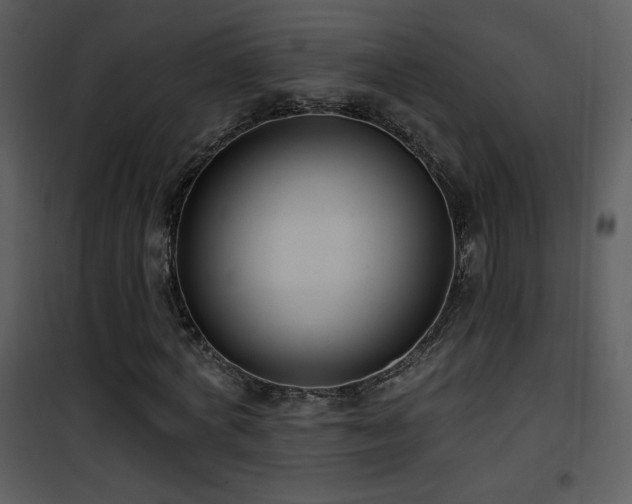 X0000102000772200807181204