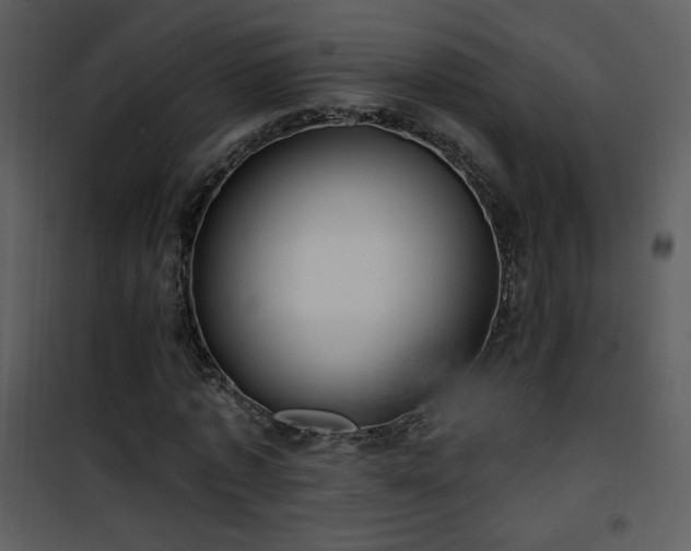 X0000102000773200807181204