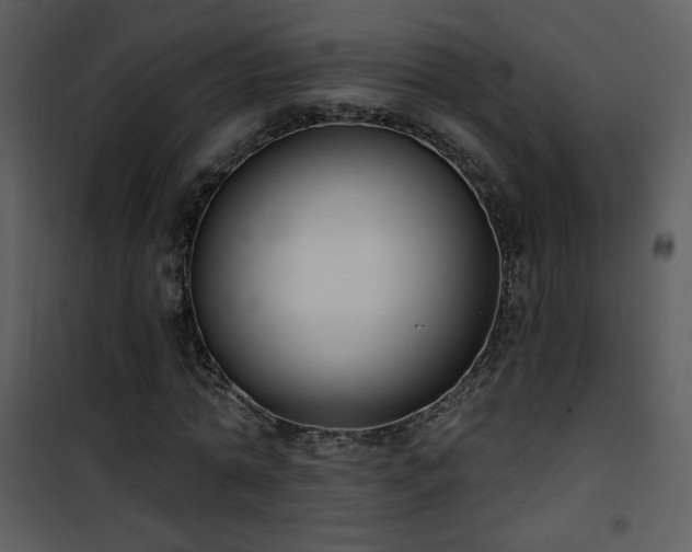 X0000102000774200807181204