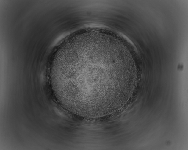 X0000102000775200807181204