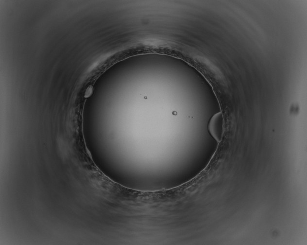 X0000102000776200807181204