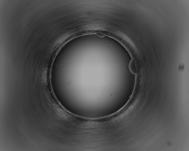 X0000102000777200807181204