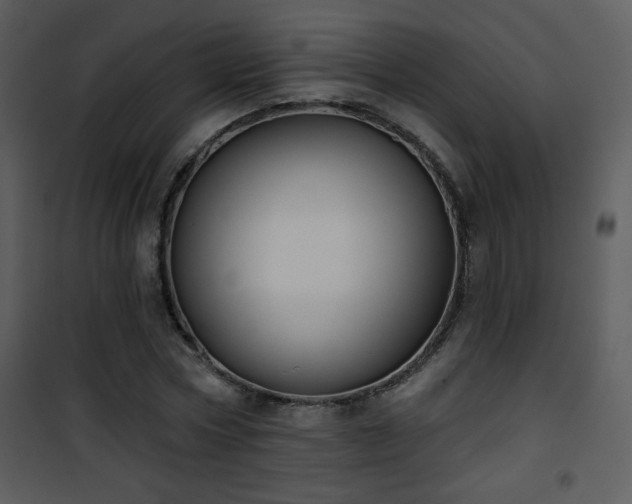 X0000102000778200807181204