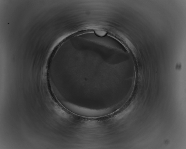 X0000102000779200807181204