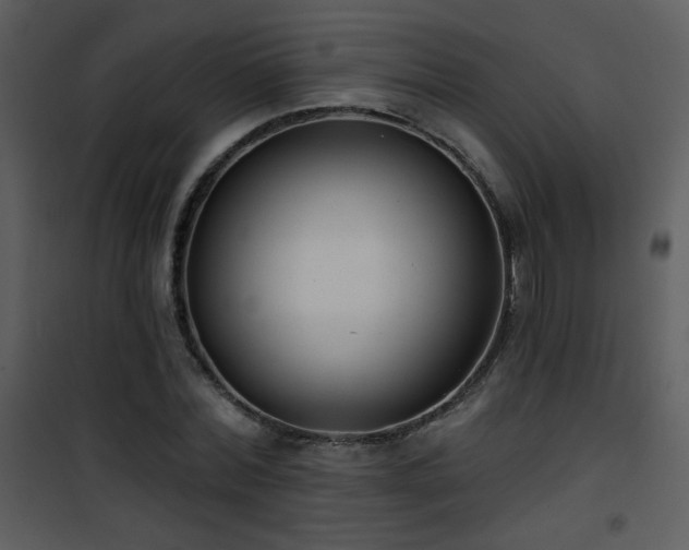 X0000102000780200807181204