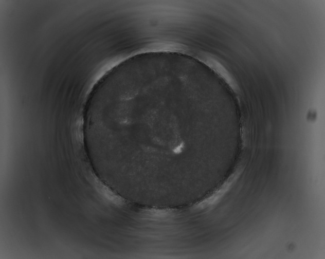 X0000102000781200807181204